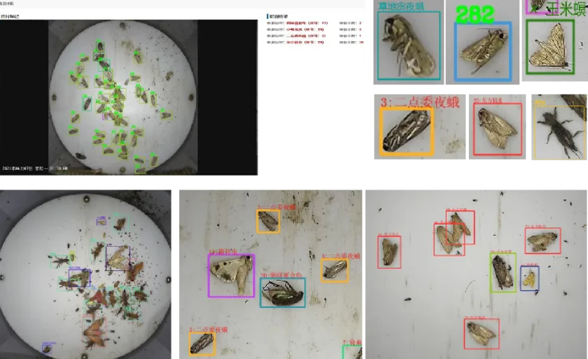 重磅!河南省农科院与云飞科技联合发布DeepSeek农业智能体