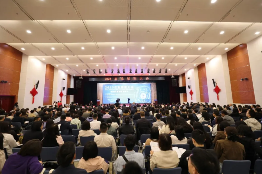 1772265199210485.jpg 1.jpg