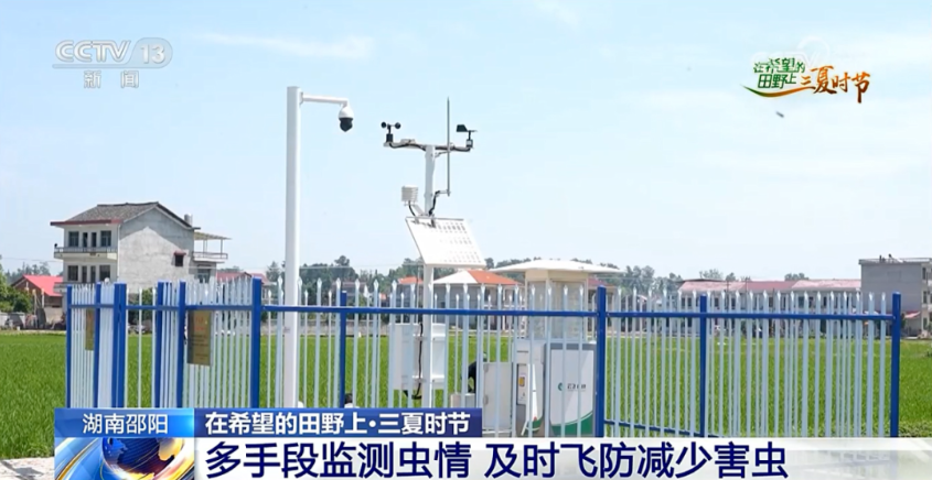 1772266208242419.jpg 3.jpg