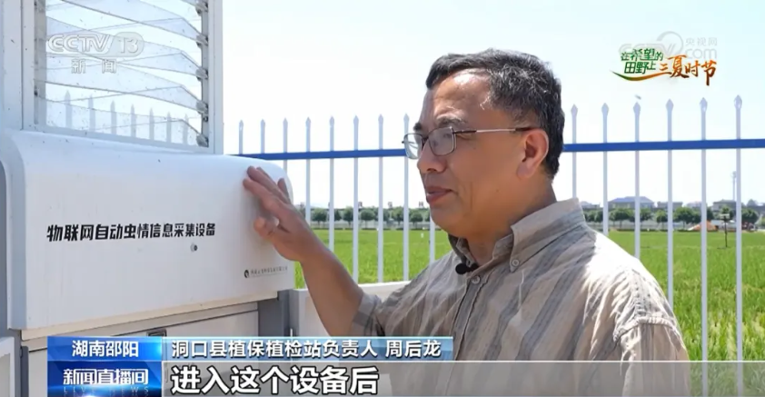 央视报道!云飞科技智慧植保设备助力湖南早稻虫害精准防控