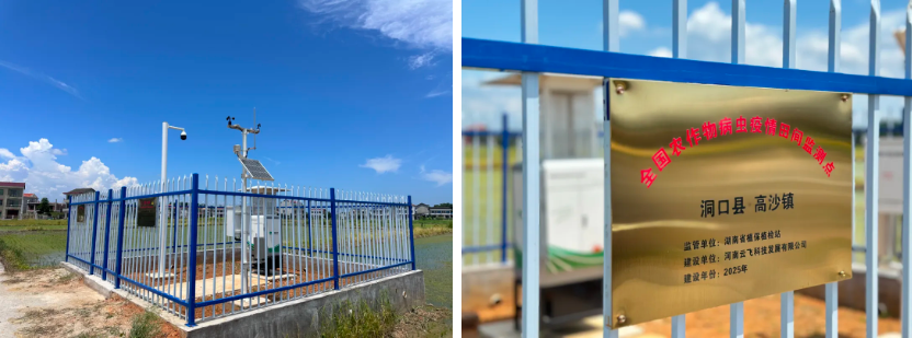 1772269874155614.jpg 2.jpg