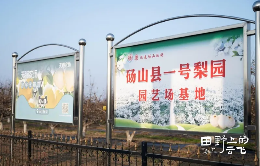 1772271203135399.jpg 1.jpg