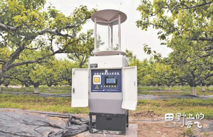 阿里云砀山梨园：当2500年老树遇见“数字哨兵”