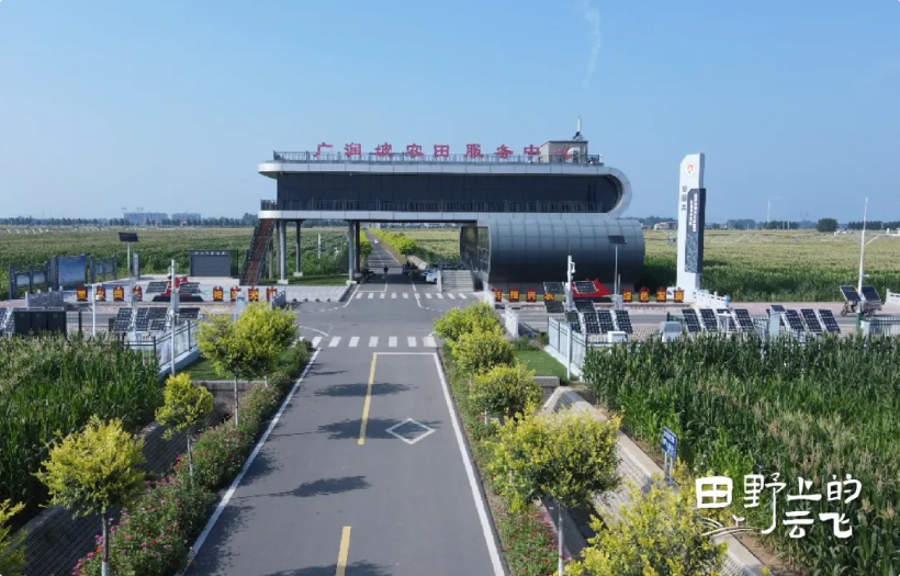 安阳广润坡高标准农田示范区：在万亩良田上，建一座数字粮仓
