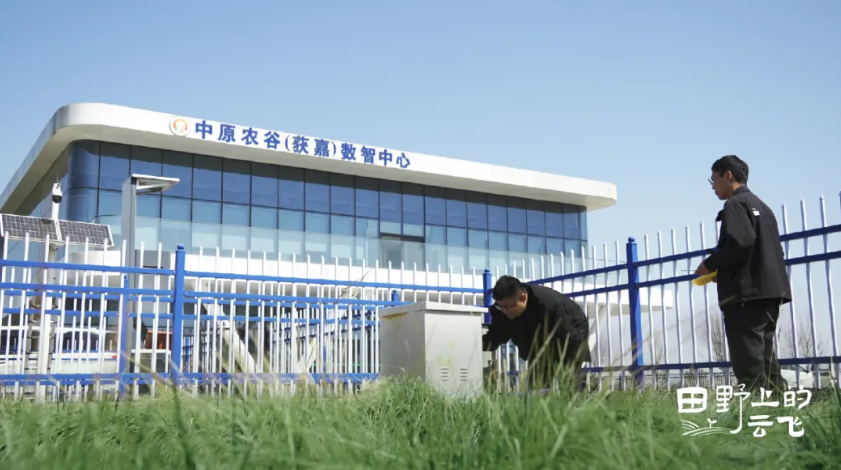 中原农谷：从田成方到数成网