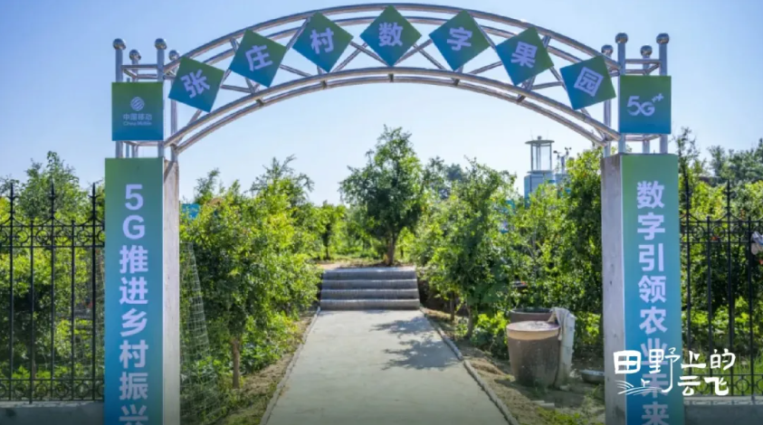 中国移动5G+智慧果园 种石榴有了“新科技”