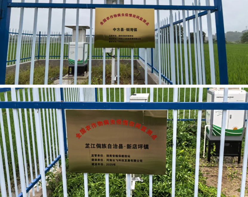 1772274813141052.jpg 4.jpg