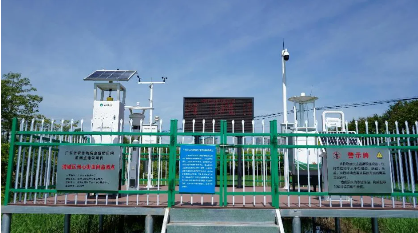 1772275505166606.jpg 1.jpg