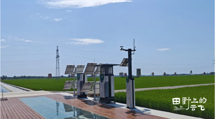 1772276600127998.jpg 3.jpg