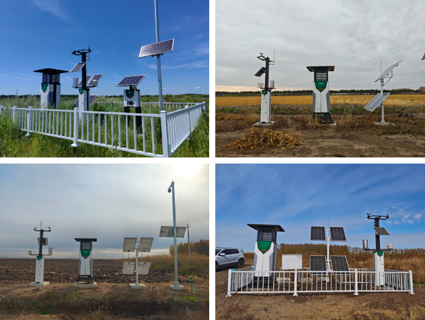 1772276629545748.jpg 4.jpg