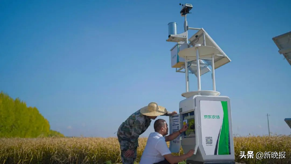 80+京东农场：健康餐桌背后的数字守护
