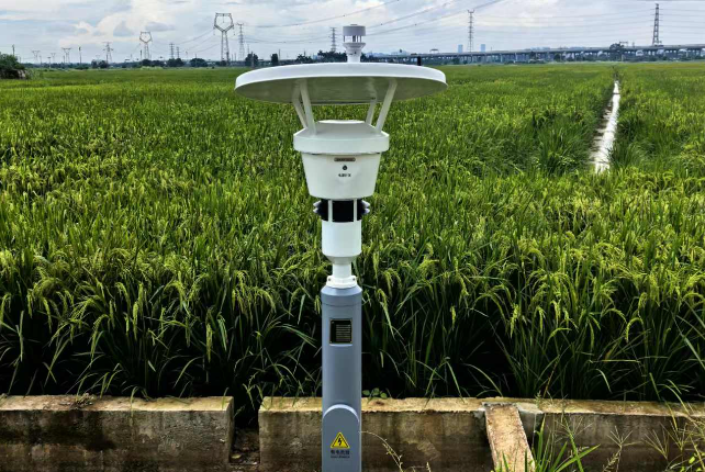 1774498261176338.png 9a86bb88-c8f7-4fd3-8989-9766fa9ef2ca.png