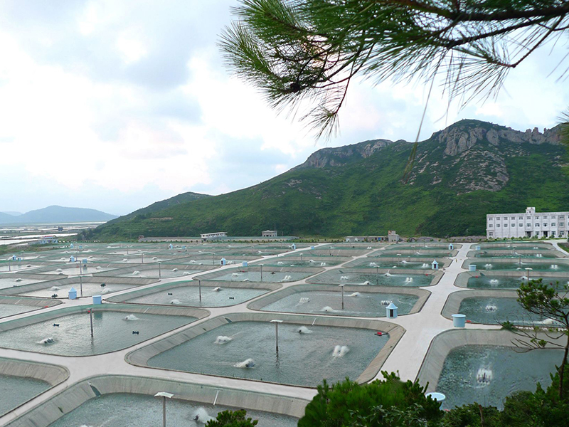 水产养殖智能监控系统