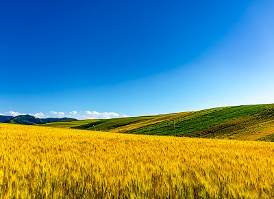 高标准农田建设项目仪器清单