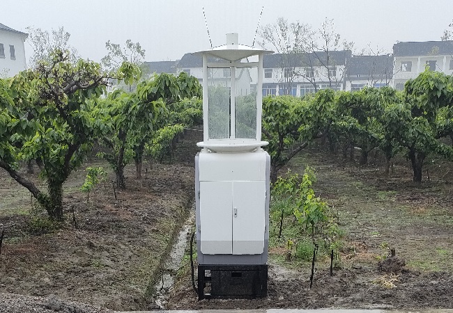 虫情测报灯实时监测玉米害虫