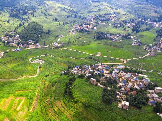 【品质民生 幸福桓台】智慧农业助力乡村振兴