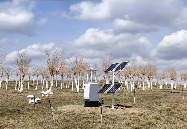 作物保护必备：智能虫情测报灯为您提供及时警示