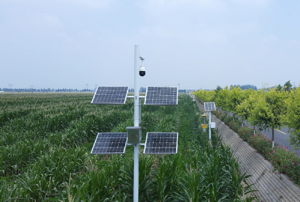 1775188364131013.png PixPin_2025-08-22_11-59-36.png