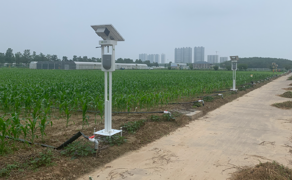 1775618980178086.png f12d117c-89f7-47fe-b020-c0e48e1b92b2.png