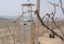 云飞虫情测报灯在农业中发挥重要作用