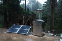 自动虫情测报灯有哪些优点？